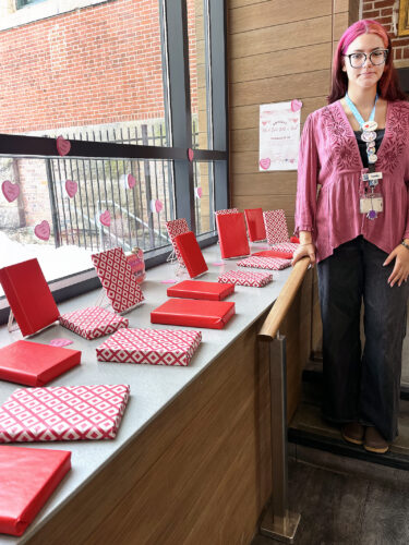 Library offering a Blind Date with A Book